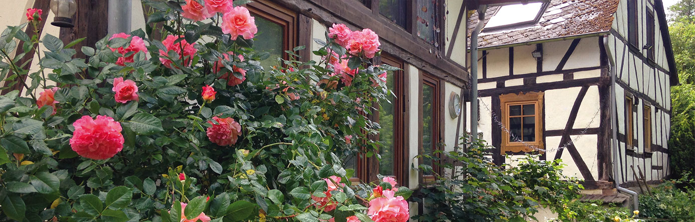 Ferien im Taunus